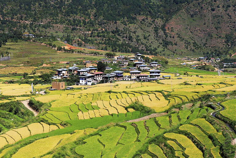 The Real Best Time to Visit Bhutan - Bhutan Weather & Climate Guide